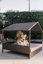 Outdoor pet cabana bed with dark wicker frame, beige cushion, dog sitting inside