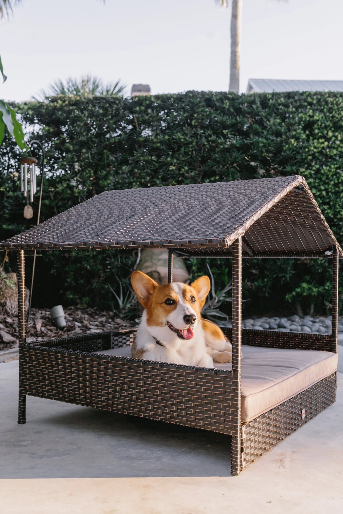 Outdoor pet cabana bed with dark wicker frame, beige cushion, dog sitting inside