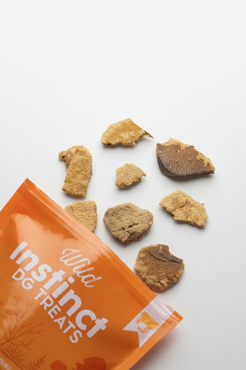 Freeze-dried beef liver dog treat pieces with orange Wild Instinct bag corner