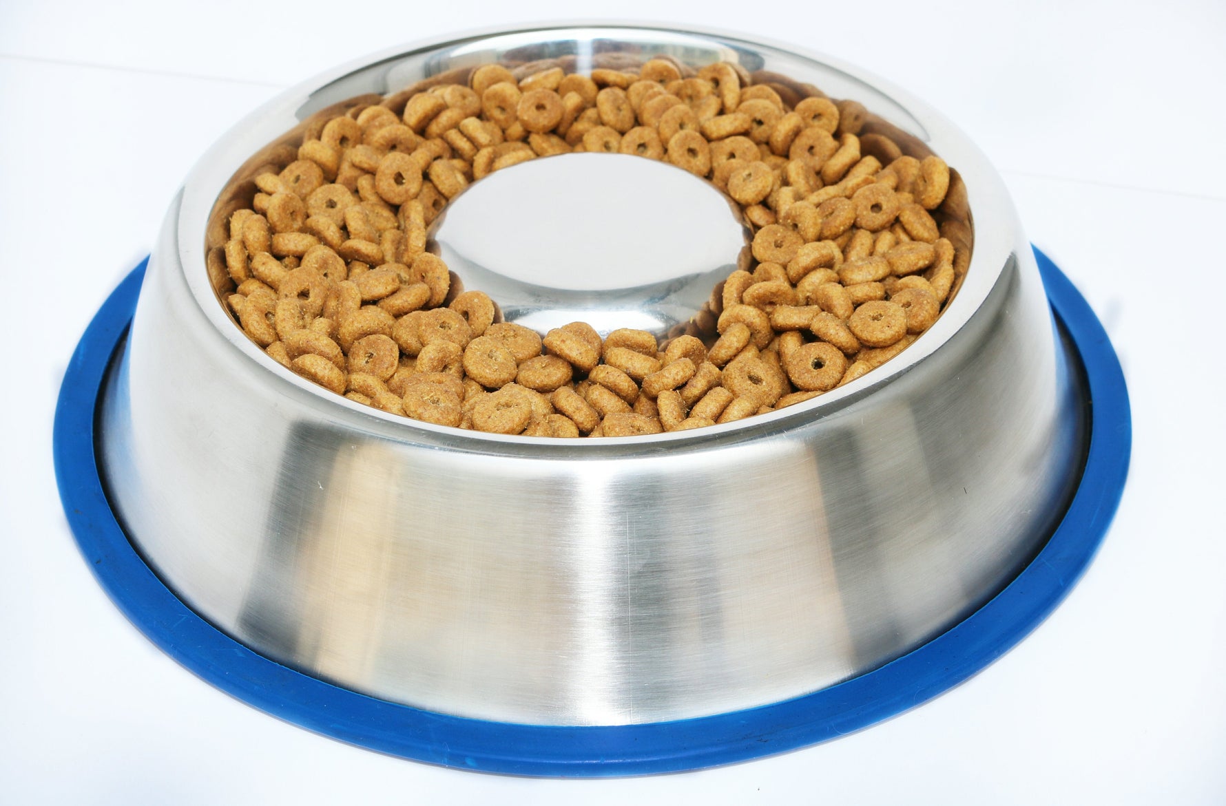 Stainless steel slow-feed dog bowl filled with kibble and blue silicone base