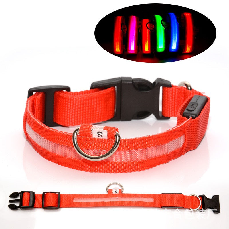 Red LED pet collar, size S, with black buckle and D-ring