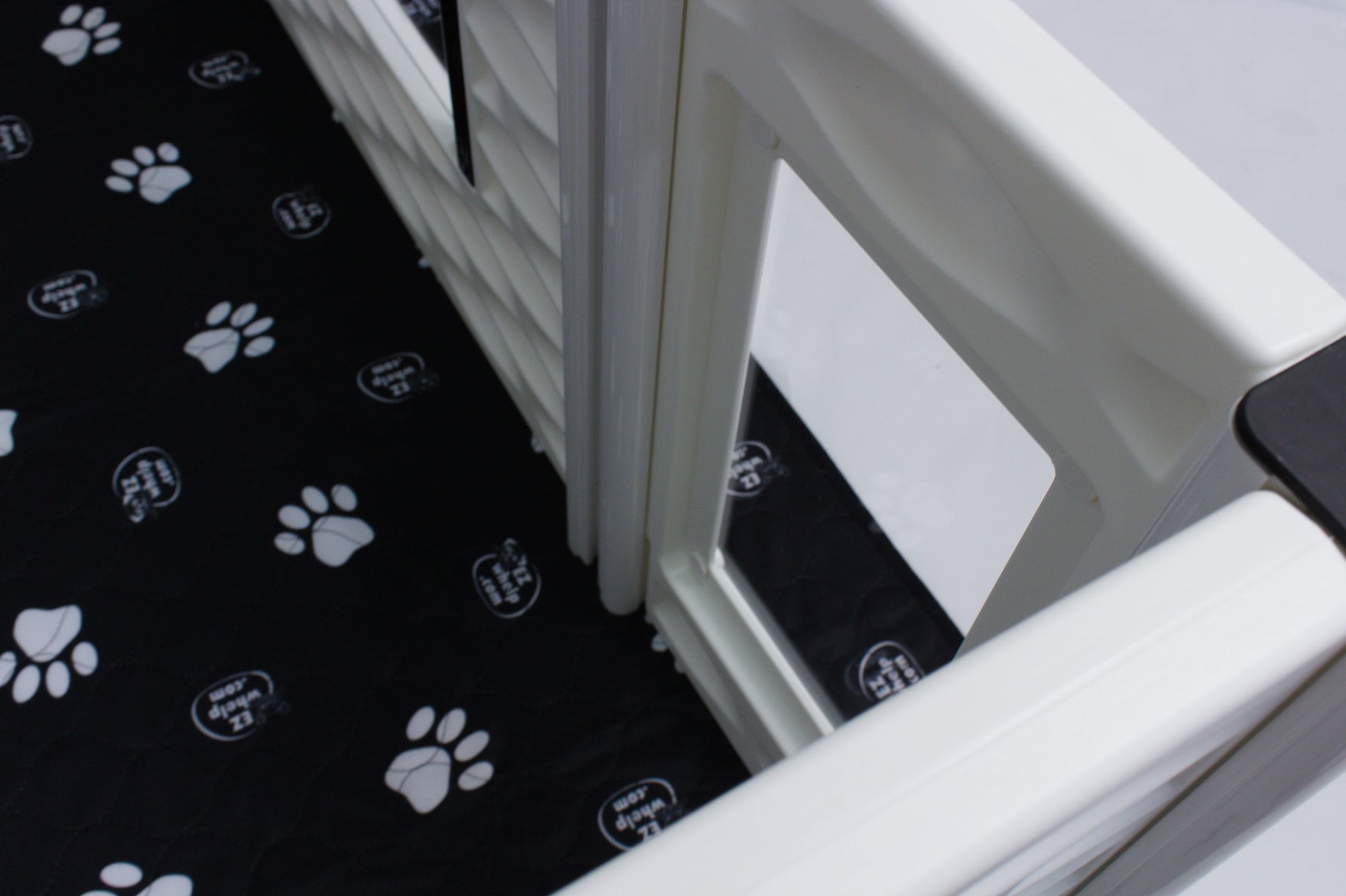 Window side panel with white frame over black paw-print mat