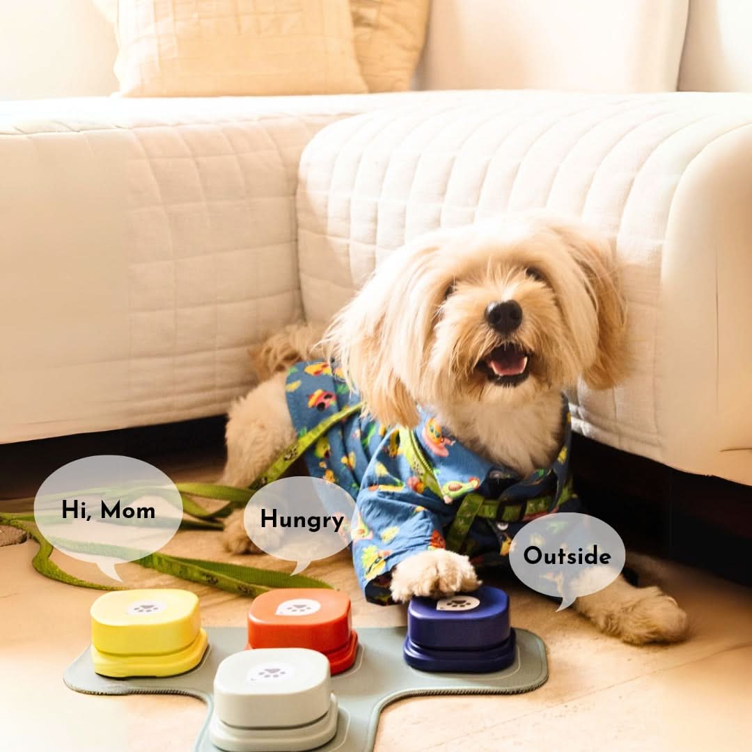 Pet training buttons on mat, paw-icon buttons in yellow, orange, and blue