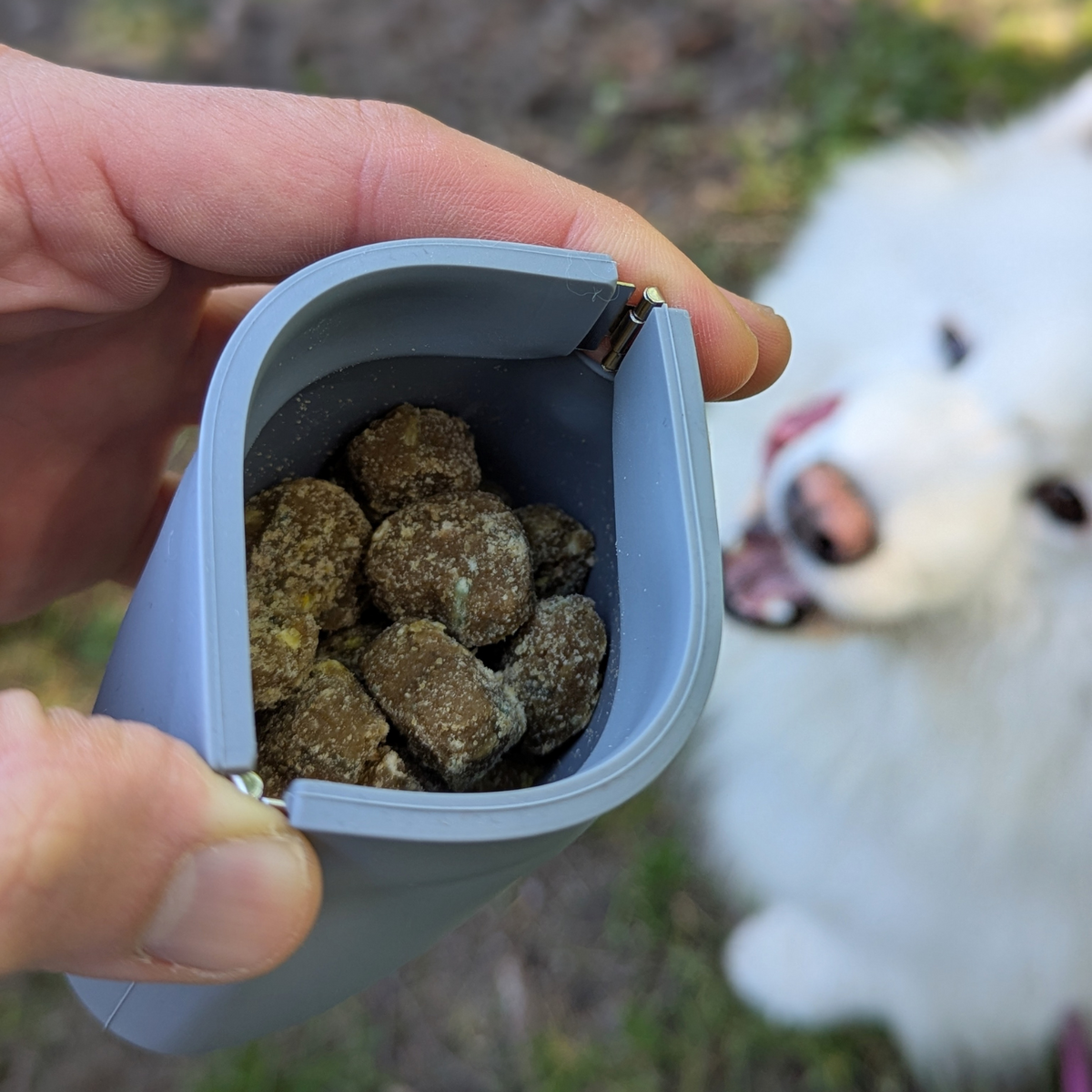 Blue-gray silicone treat pouch open in hand, filled with dog treats.