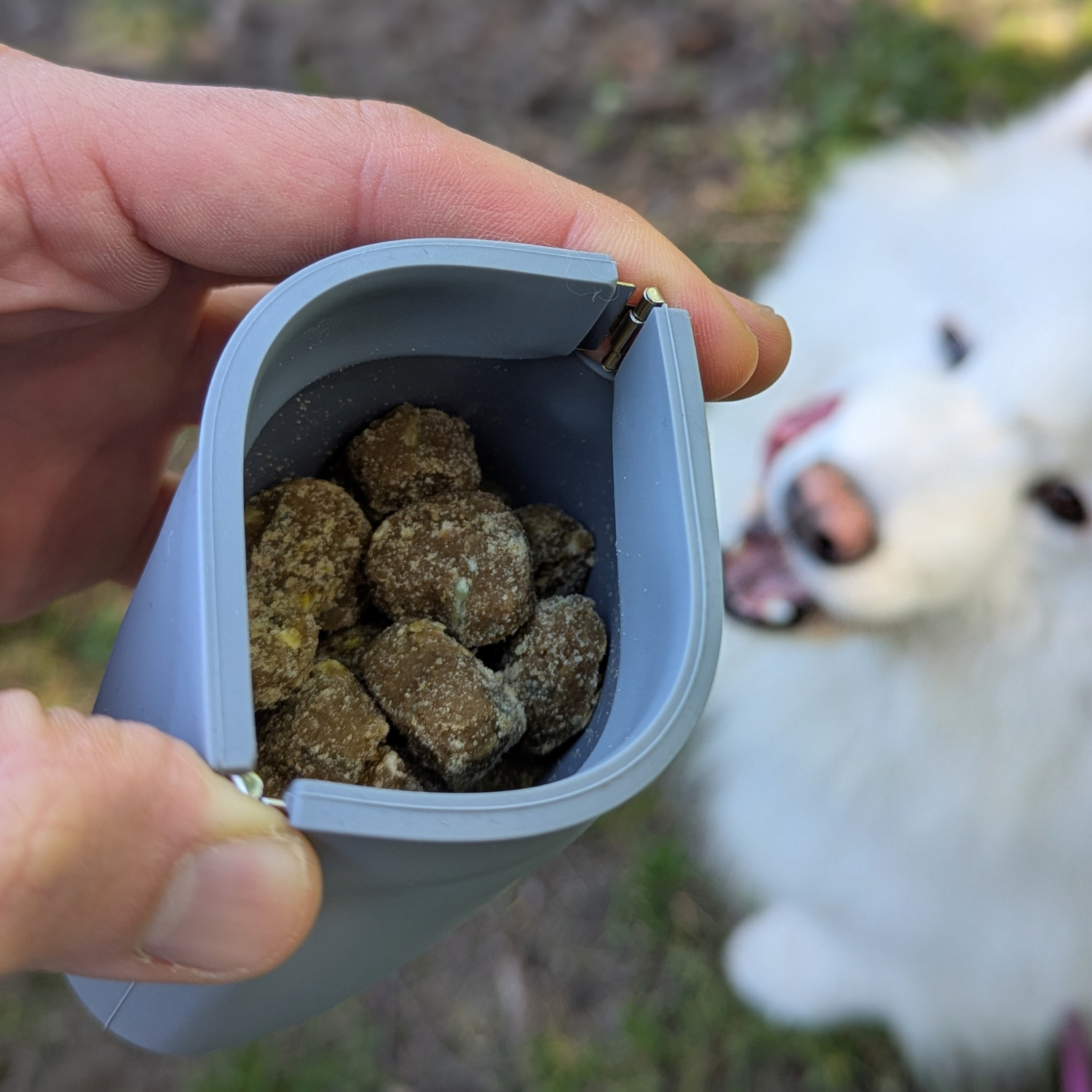 Blue-gray silicone treat pouch open in hand, filled with dog treats.