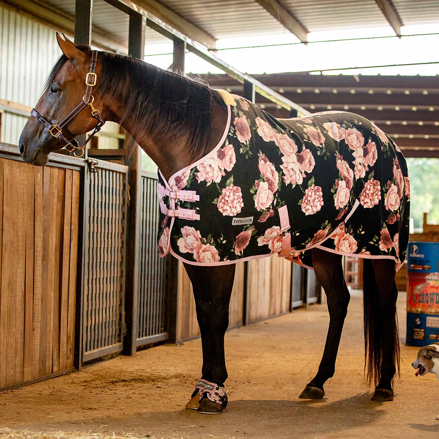 Black fleece horse blanket with pink rose floral print and light pink trim