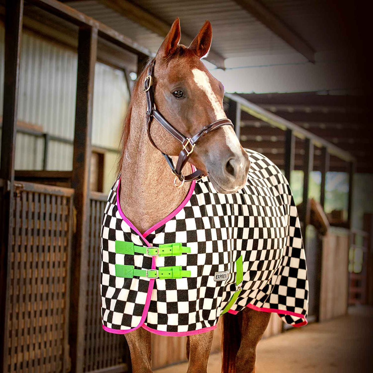 Black-and-white check fleece horse cooler with pink trim and green straps
