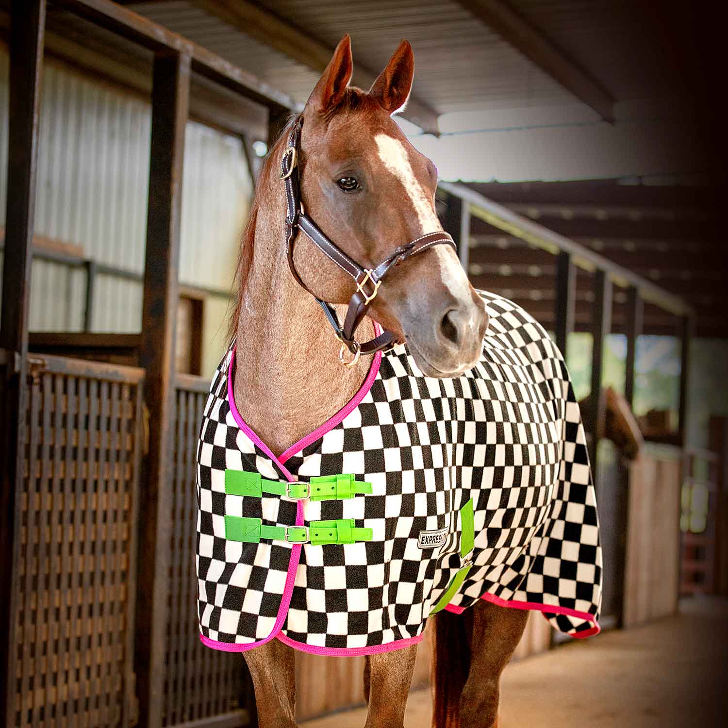 Black-and-white check fleece horse cooler with pink trim and green straps