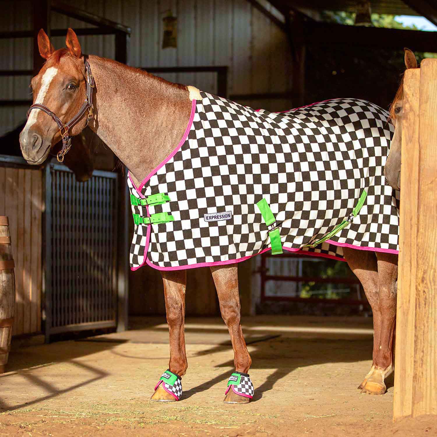 Checkered fleece horse cooler with pink trim and green strap details
