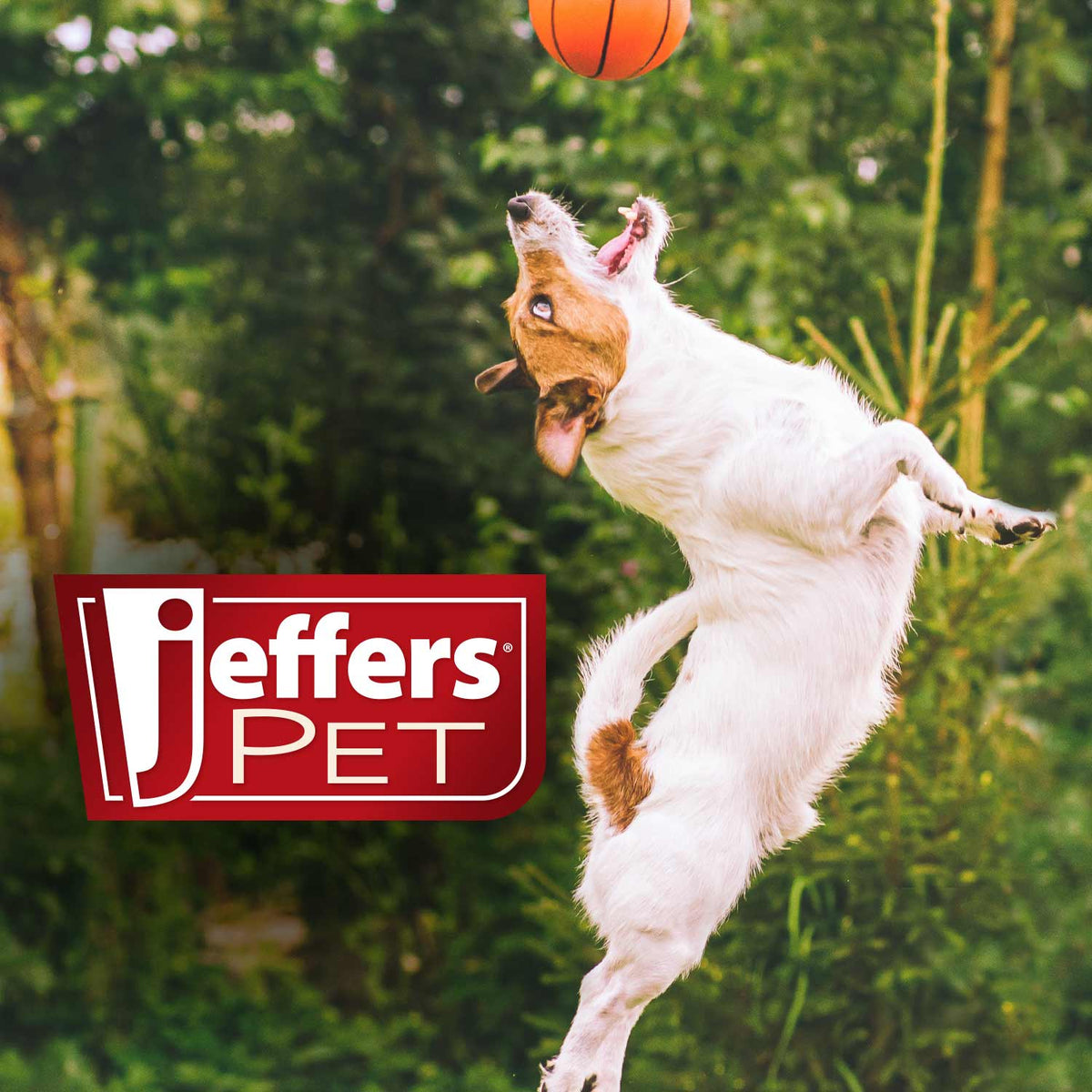 Red rubber dental dog chew toy promo with a dog in motion and Jeffers Pet logo