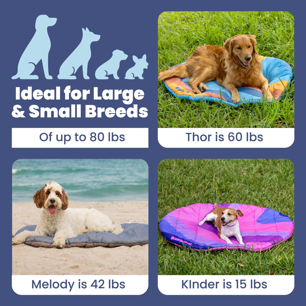 Blue foldable travel dog bed shown in size and weight infographic with dogs