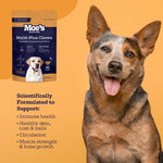 Dog portrait with multivitamin chew supplement pouch in the background.