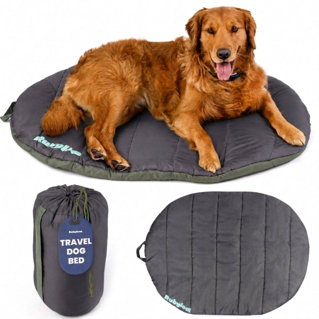 Dark gray travel dog bed with padded cushion and matching carry pouch