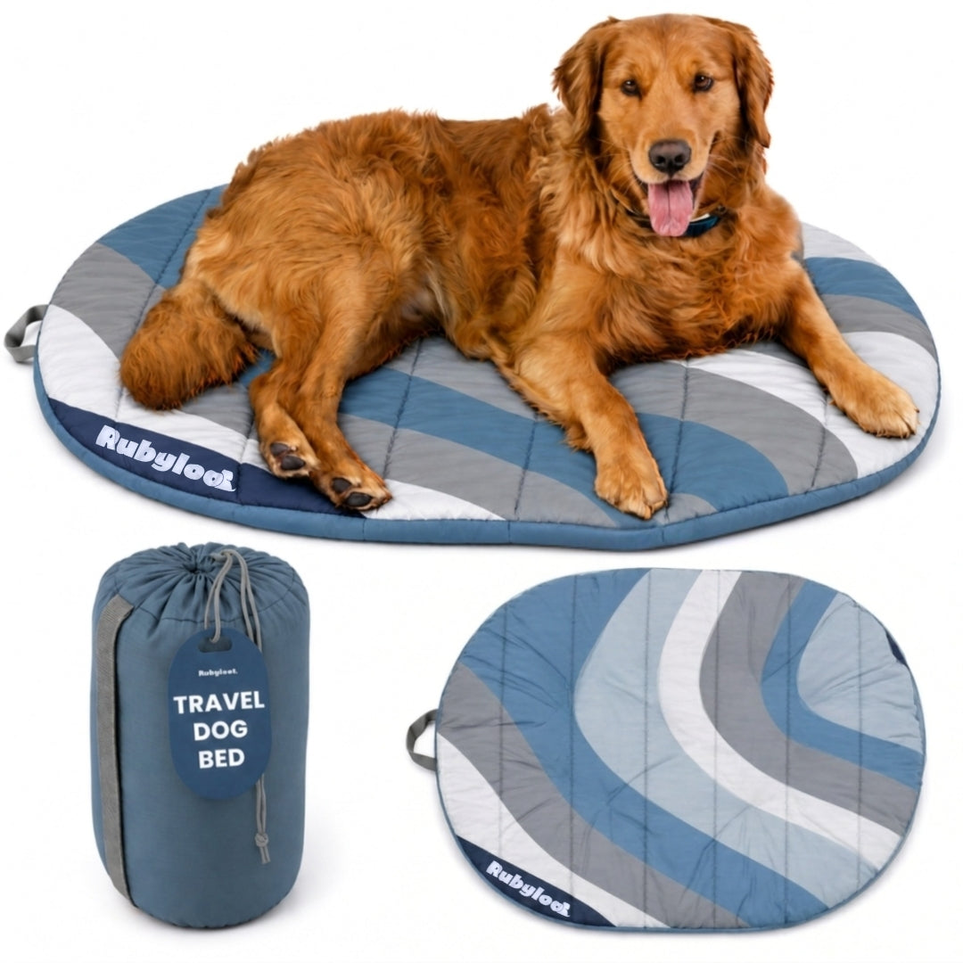 Blue striped travel dog bed with rounded edge and matching carry pouch
