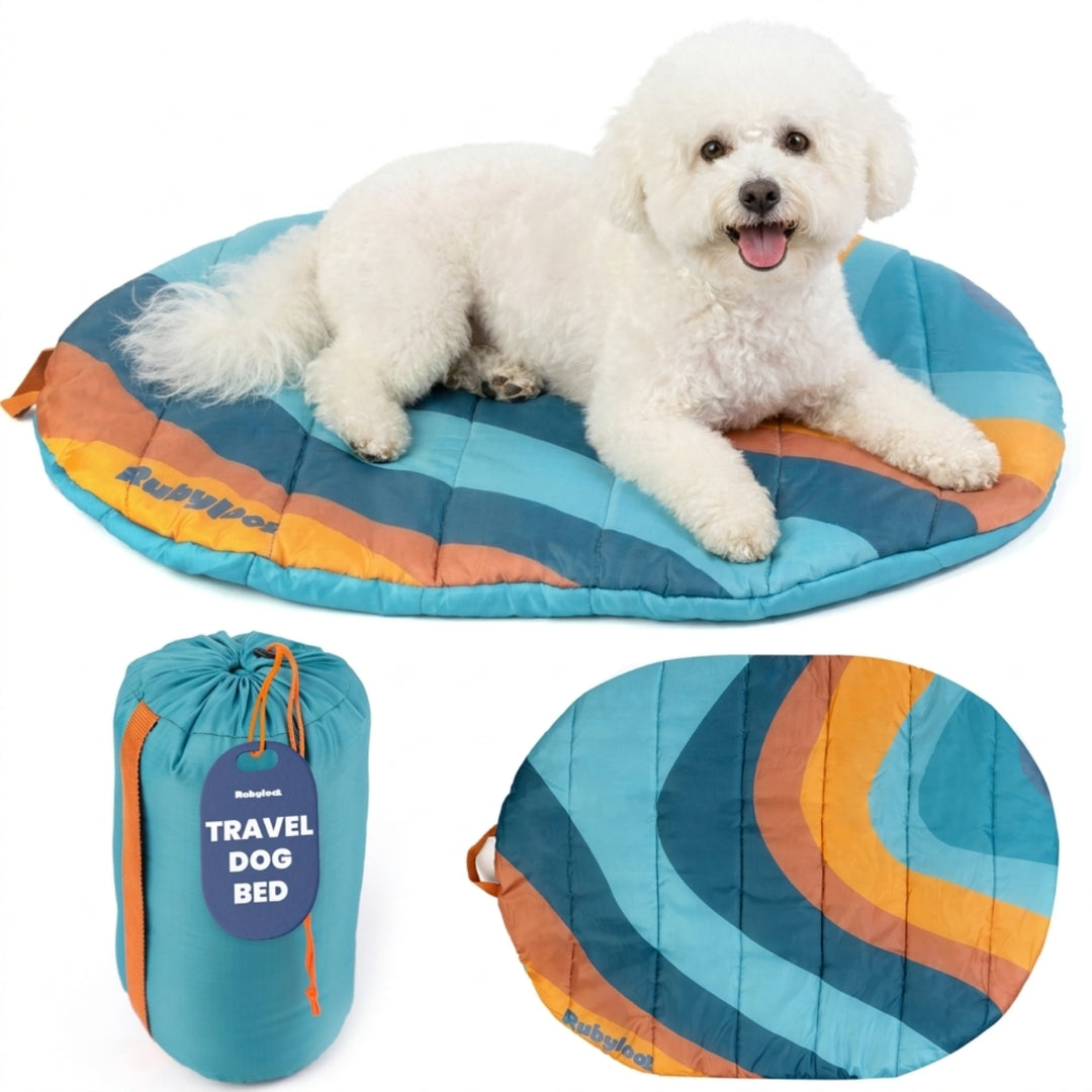 Teal and orange striped travel dog bed with carry pouch and oval base