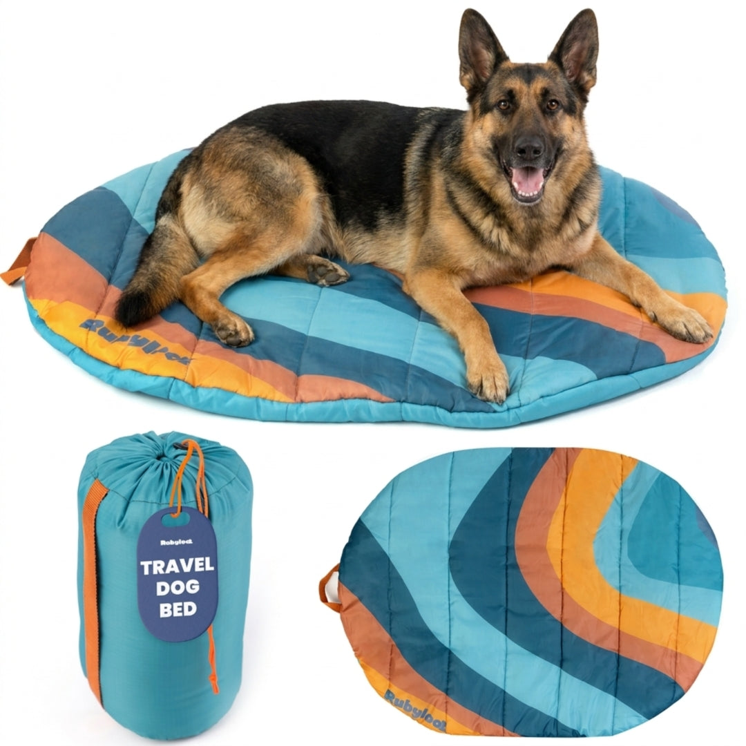 Teal and orange striped travel dog bed with carry pouch and oval base