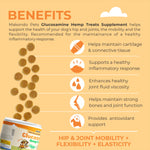 Treat supplement benefits infographic with small round golden chews and jar corner