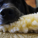 HuggleFleece® pet bed with gray plush top and light shag border