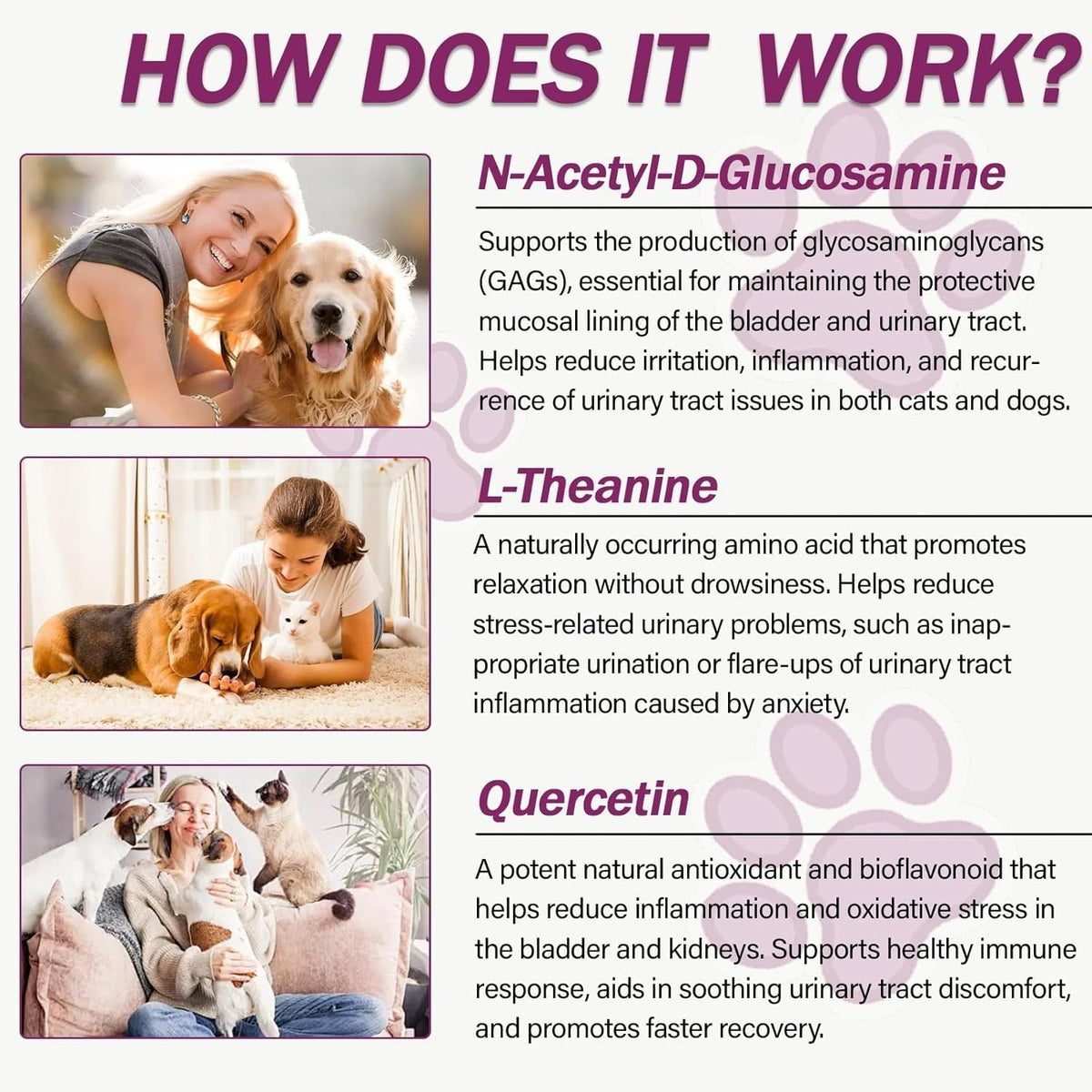 Urinary tract support capsule supplement ingredient panel with dog and cat