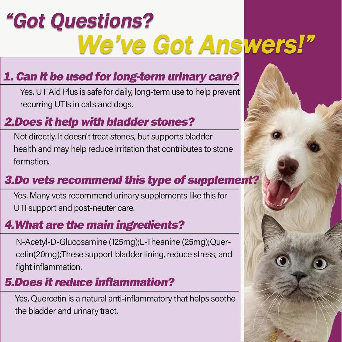 Urinary tract support supplement FAQ panel with dog and cat faces