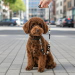 Black beaded pearl bow pet leash with heart charms, attached to a small dog