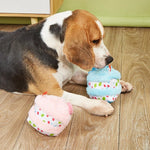 Beagle with blue plush birthday-cake dog toy and pink plush beside it