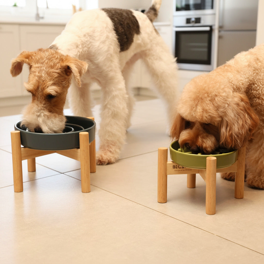 Wave slow feeder dog bowls on wooden stands in a kitchen setting