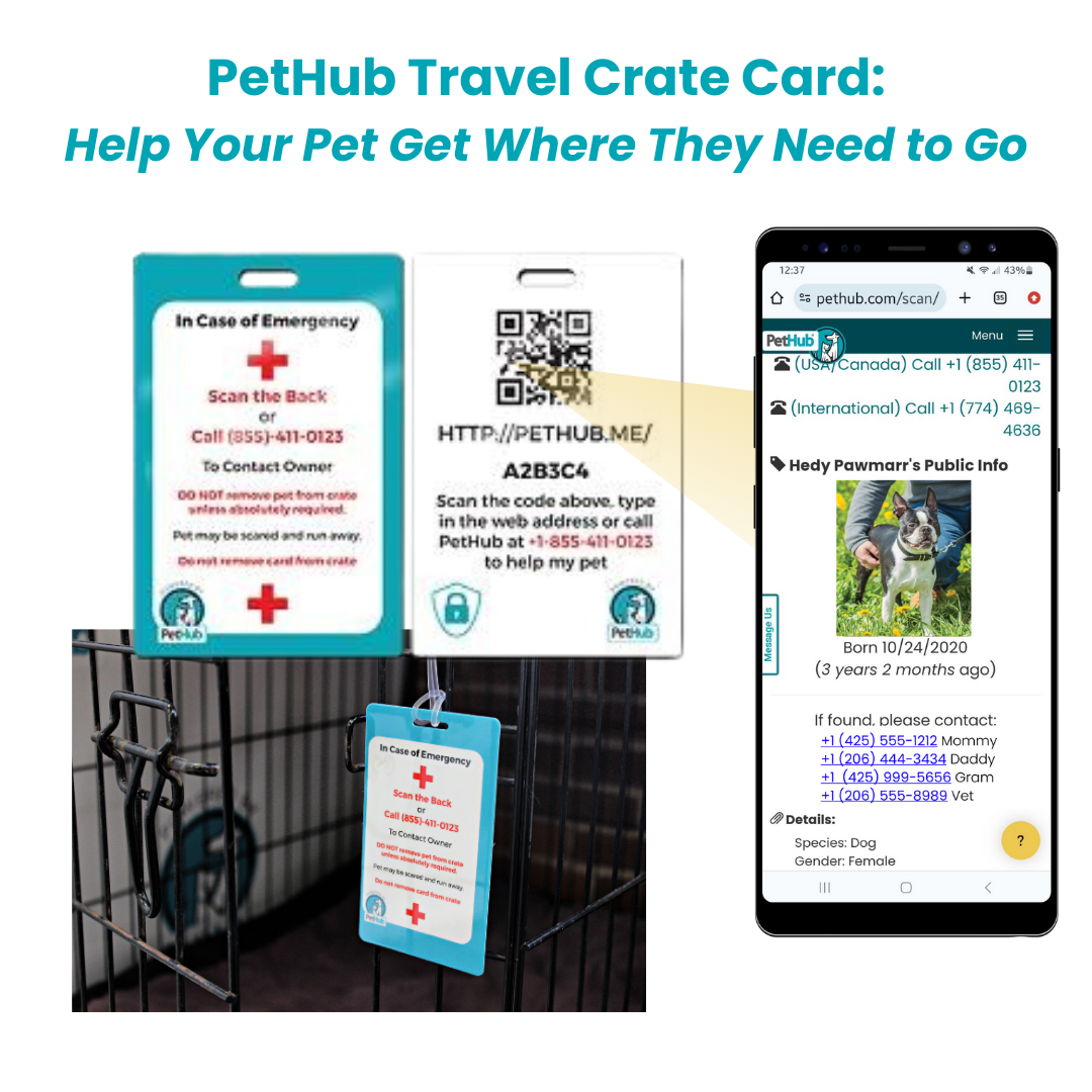 Pet travel crate card set with QR code and emergency instructions, shown with phone app