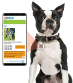 Round QR pet ID tag hanging from a dog collar