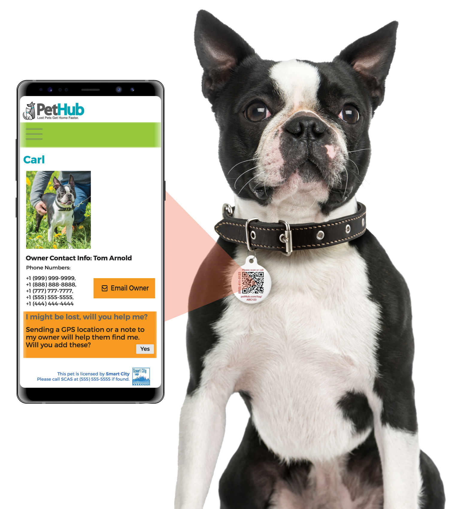 Round QR pet ID tag hanging from a dog collar