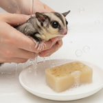 Off-white pet soap bar on dish with bubbles