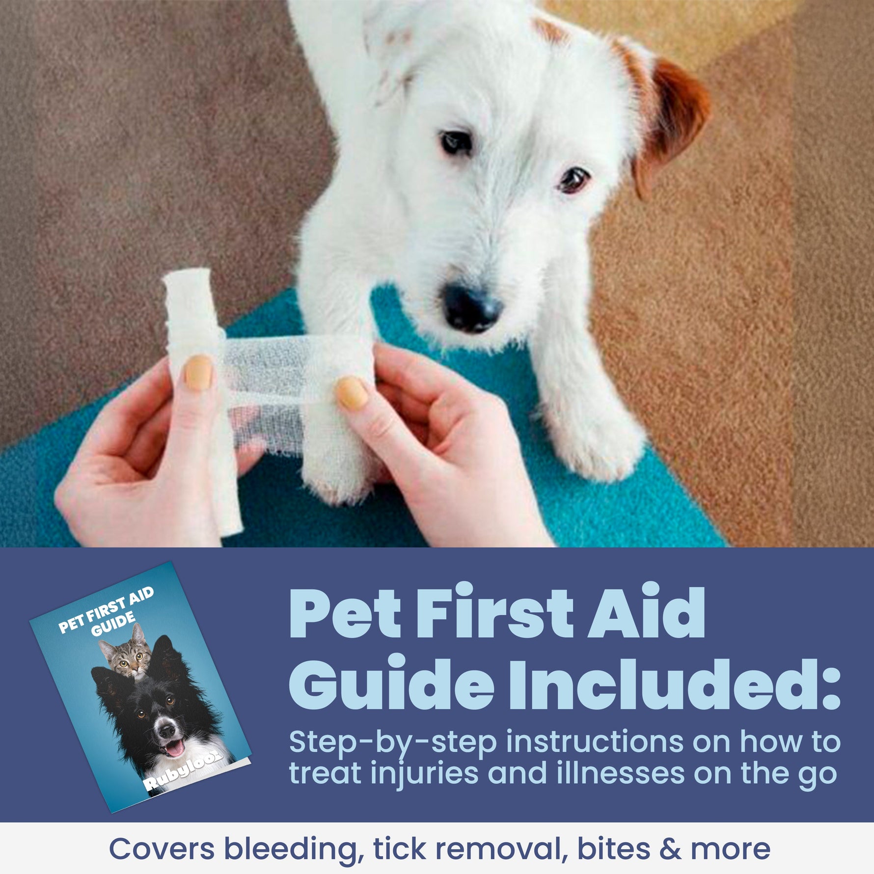 White dog with paw bandage and pet first aid guide instructions card