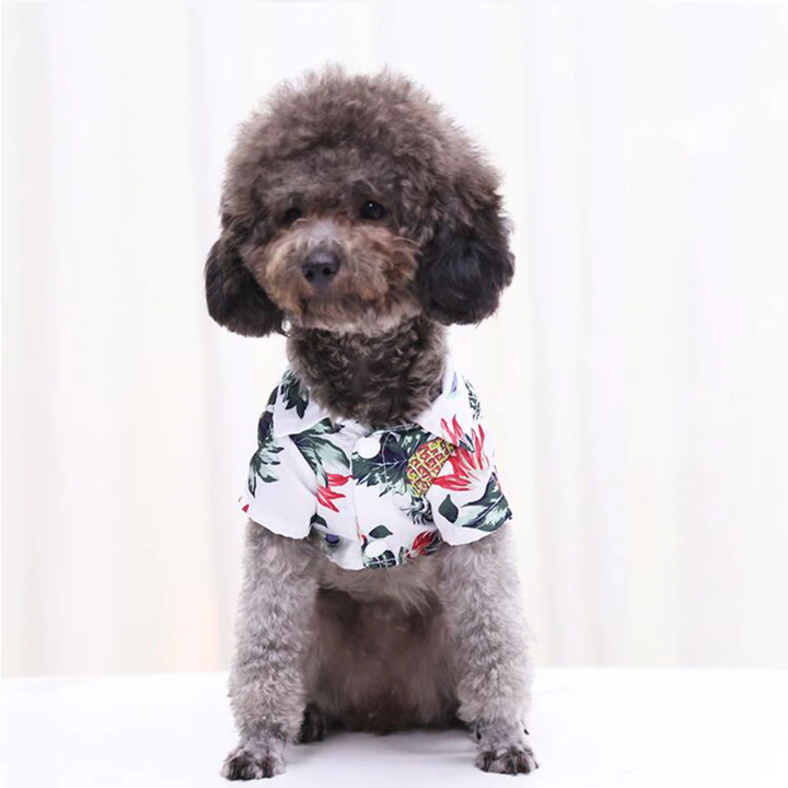 Hawaiian pet shirt in white with colorful tropical leaf and pineapple print