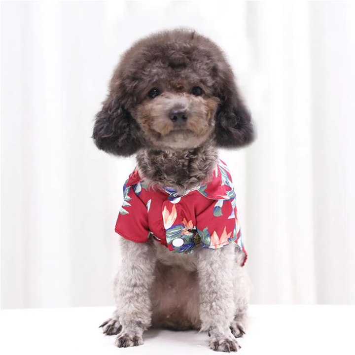 Hawaiian pet shirt in red with colorful tropical leaf and pineapple print