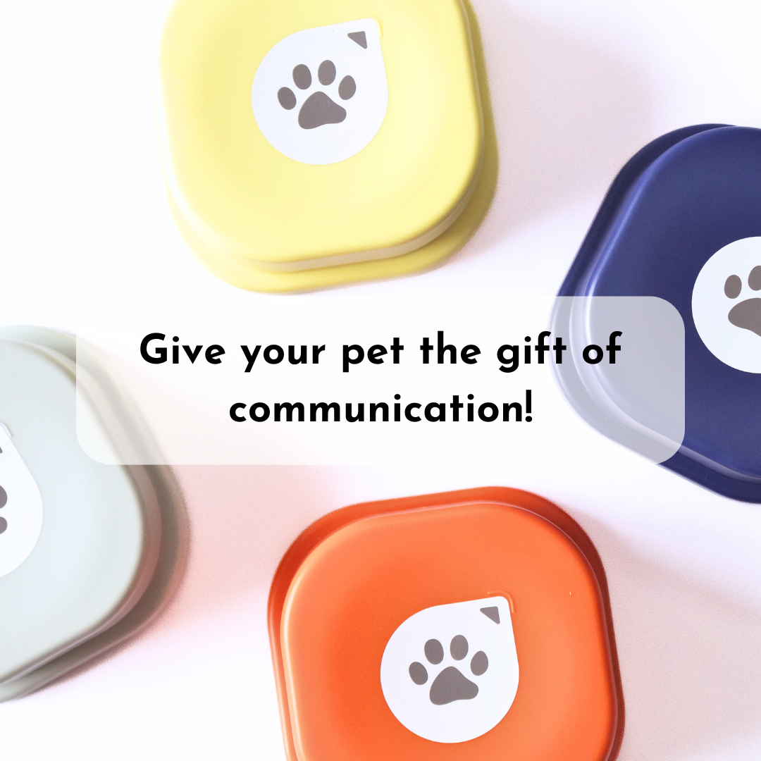 Orange and yellow training buttons with paw icons, on a pet training mat