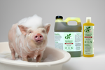 Pet bath shampoo and conditioner bottles with pig in a tub; green and yellow jugs.