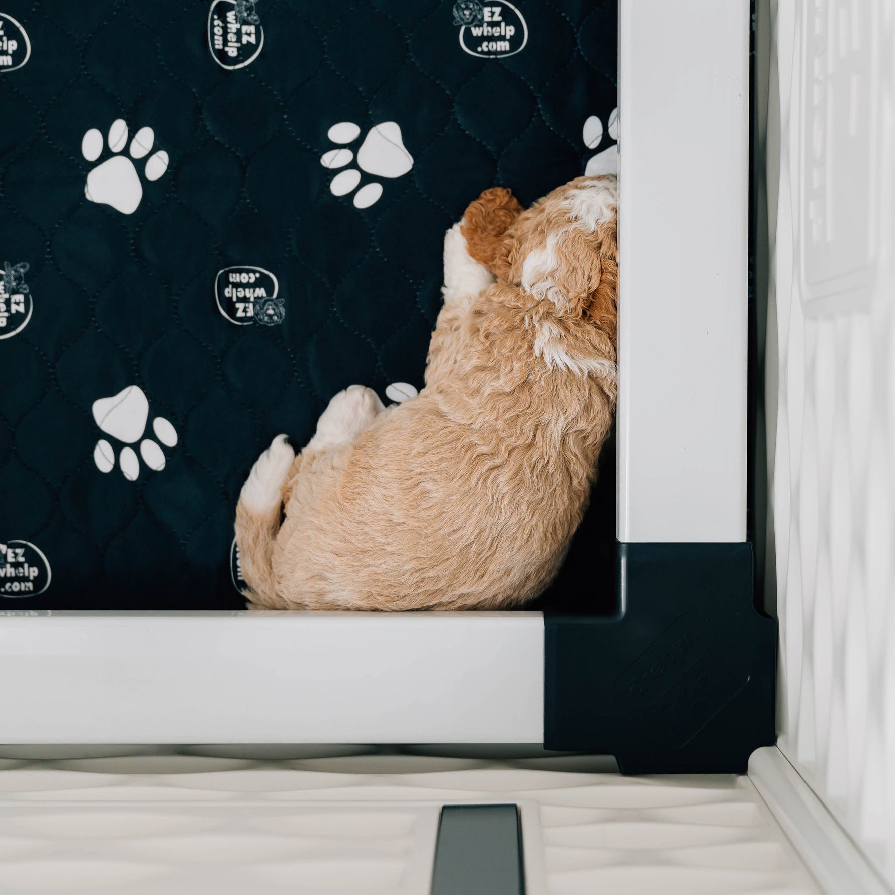 Black paw print pet mat on floor with quilted diamond pattern