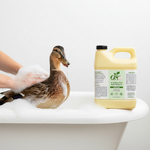 Pet bath shampoo jug, yellow bottle with handle and black cap, on white tub surface