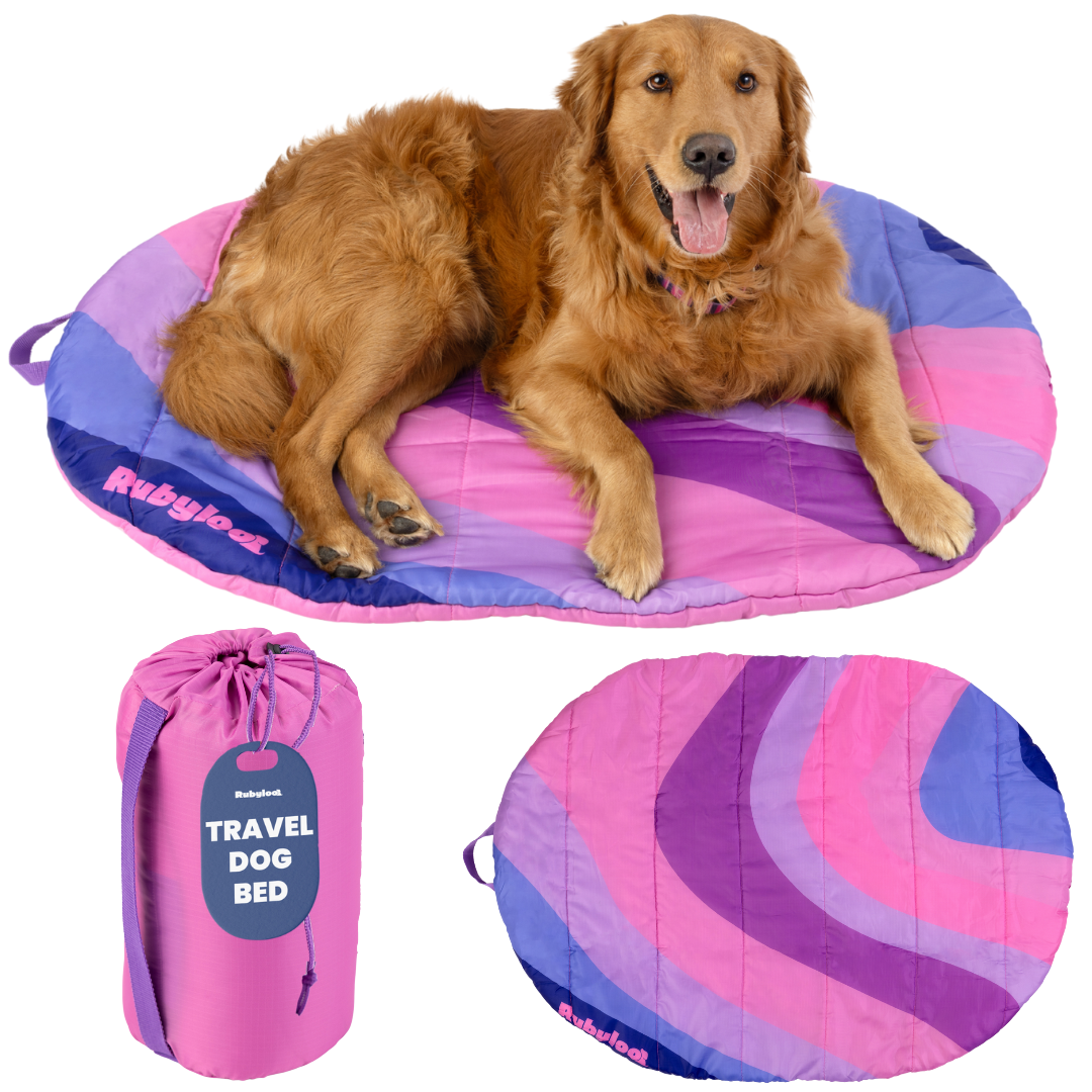 Pink and purple striped travel dog bed with carry pouch and oval base