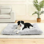 Light gray plush pet sofa bed with shag cushion, shown with a black-and-white dog
