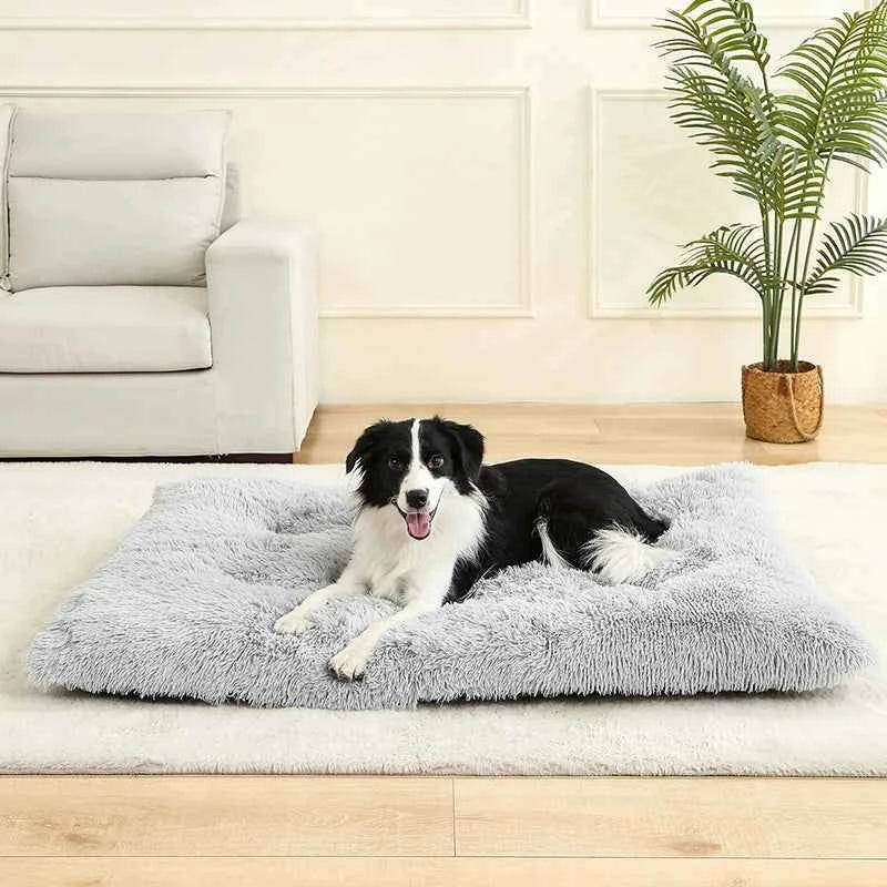 Light gray plush pet sofa bed with shag cushion, shown with a black-and-white dog