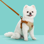 Beige no-pull dog harness with brown leash, worn on a small white dog