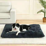 Dark gray plush pet sofa bed with shag cushion, with black-and-white dog resting