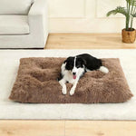 Brown plush pet sofa bed with shag cushion, with black-and-white dog lying down