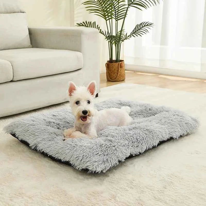 Gray plush pet sofa bed with shag top, with small white dog lying inside