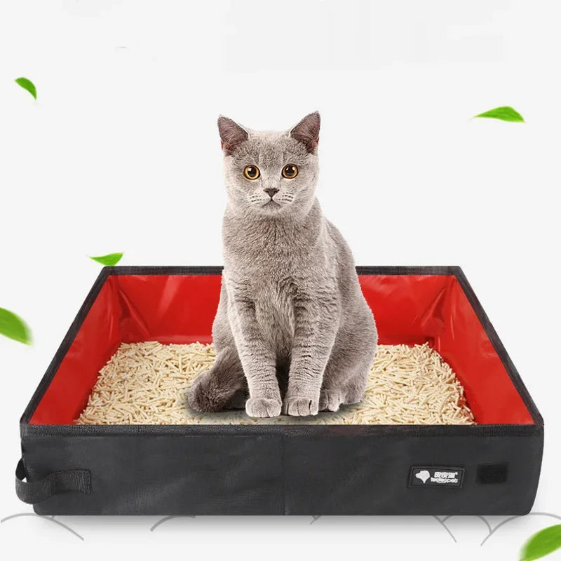 Portable folding pet litter box used by a small cat; dark exterior with red liner