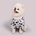 Cow-print pet pajama set on small dog, button front and matching shorts