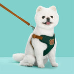 Green no-pull dog harness with brown leash, worn on a small white dog