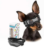 Schwarze UV-Goggles für Haustiere mit transparenten Schutzgläsern und gepolsterten Riemen