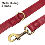 Red dog collar with gold-tone D-ring, hook, and engraved ID name plate